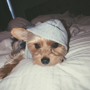 Meet your Posher, Haley